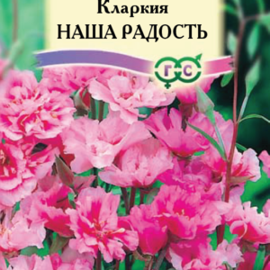 Кларкия Наша радость ,ноготковая * 0,1 г