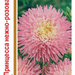 Астра Принцесса нежно-розовая 0,5 г, серия 1+1 Н14