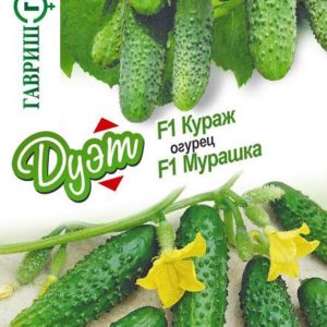 Огурец Кураж F1+Мурашка F1 автор.серия 1+1/20 шт. Дуэт Н16