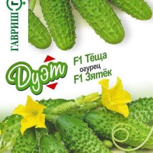 Огурец Зятек F1+Теща F1 автор.серия 1+1/20 шт. Дуэт Н16