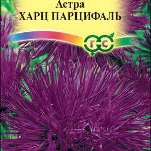 Астра Харц Парцифаль 0,3 г, тонкоигольчая темно-фиолет.