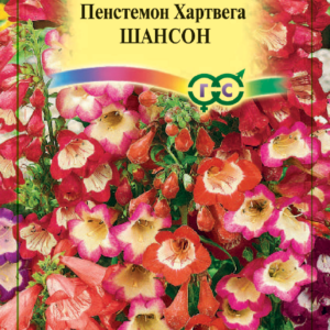 Пенстемон Хартвига Шансон наперстянковый* 0,02 г