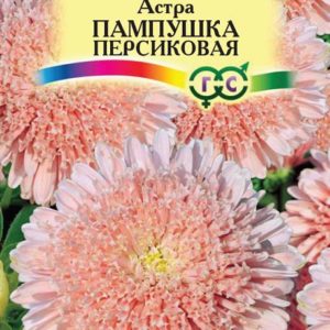 Астра Пампушка персиковая 0,3 г Н12