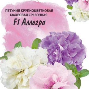 Петуния Аллегра F1 смесь крупноцв. 10 шт гранул. пробирка Н16