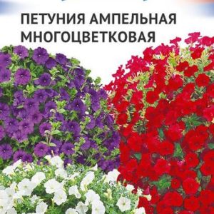 Петуния смесь ампельная многоцвет. серия Триколор 9 шт