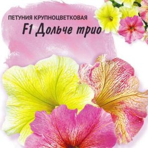 Петуния Дольче Трио F1 крупноцв. 10 шт гранул. пробирка Н14