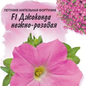 Петуния Джоконда нежно-розовая F1 многоцв. 10 шт гранул. пробирка Н14