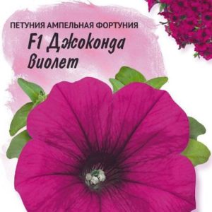 Петуния Джоконда Виолет F1 многоцв. 10 шт гранул. пробирка Н14