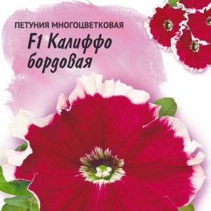Петуния Калиффо бордовая F1 многоцв. 10 шт гранул. пробирка, серия Фарао Н16