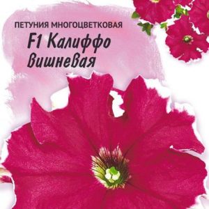 Петуния Калиффо вишневая F1 многоцв. 10 шт гранул. пробирка, серия Фарао Н16