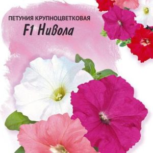 Петуния Нивола смесь F1 крупноцветковая 5шт гранул.пробирка Н17 (Фарао)