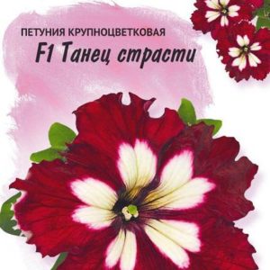 Петуния Танец страсти F1 10 шт. пробирка Н14
