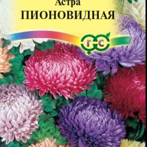 Астра Пионовидная, смесь 0,3 г