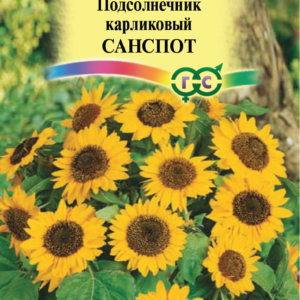 Подсолнечник карликовый Санспот 0,5 г