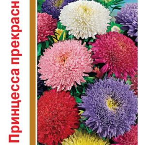 Астра Принцесса прекрасная, смесь 0,5 г , серия 1+1 Н14