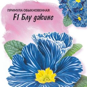 Примула Блу джинс F1обыкновенная* 5 шт. Италия Н14