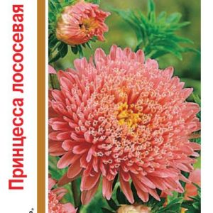 Астра Принцесса лососевая 0,5 г , серия 1+1 Н14