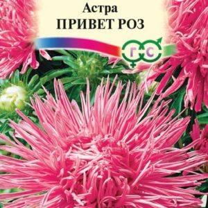 Астра Привет роз 0,3 г