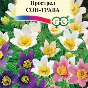 Прострел Сон-трава * , смесь 0,05 г Н10