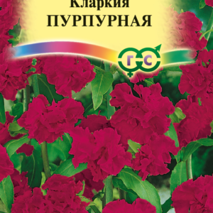 Кларкия Пурпурная , изящная * 0,1 г Н10