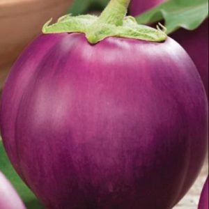 Баклажан Пятачок 0,3 г серия Русский вкус! Н10