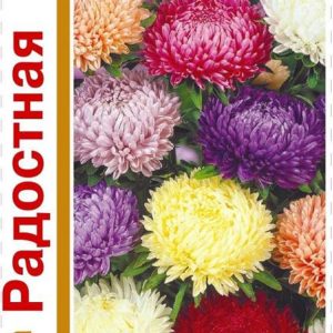Астра Радостная, пионовидная смесь 0,6 г серия 1+1 Н14