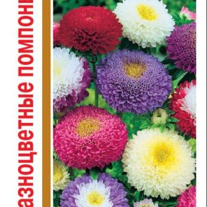 Астра Разноцветные помпоны, смесь 0,6 г, серия 1+1 Н14