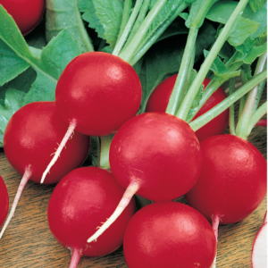 Редис Рубин 2,0 г серия Традиция Н11