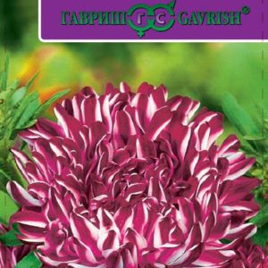 Астра Риббон красная* 0,1 г, пионовидная серия Эксклюзив Н11