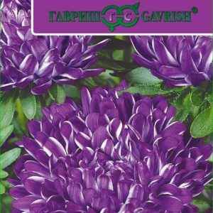 Астра Риббон синяя* 0,1 г, серия, пионовидная Эксклюзив Н11