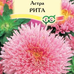 Астра Рита 0,3 г, принцесса розовая