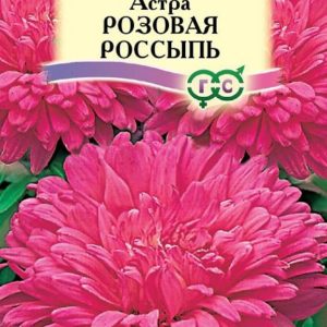 Астра Розовая россыпь 0,3 г, воронежская