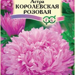 Астра Королевская розовая 0,3 г Н12
