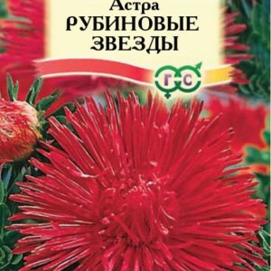 Астра Рубиновые звезды 0,3 г, игольчатая
