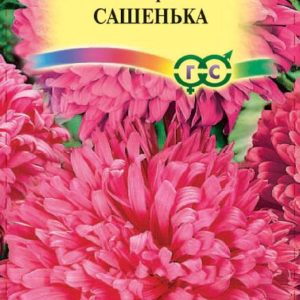 Астра Сашенька 0,3 г, воронежская темно-роз. Н10