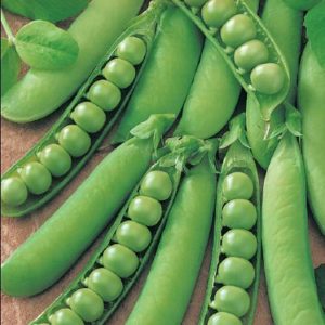 Горох Щербет сахарн. 10 г серия Русский вкус! Н10