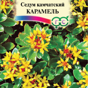 Седум Карамель камчатский * 0,01 г сер. Альпийская горка