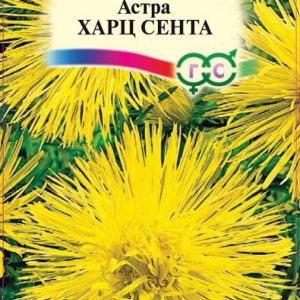 Астра Харц Сента 0,3 г, тонкоигольчая желтая