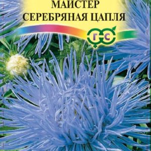 Астра Майстер Серебряная цапля 0,3 г, игольчатая синяя