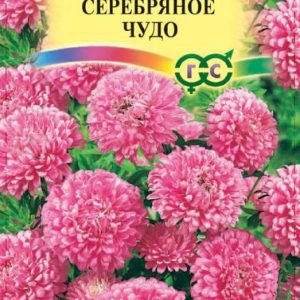 Астра Серебряное чудо 0,3 г, карликовая розовая Н9
