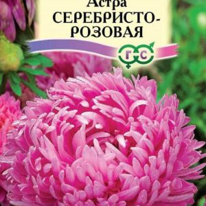 Астра Серебристо-розовая 0,3 г, розовидная