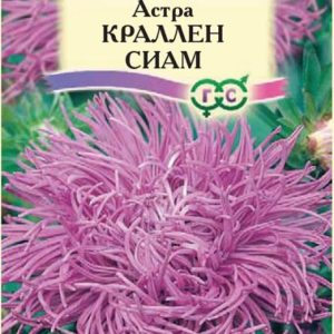 Астра Краллен Сиам 0,3 г, коготковая лиловая