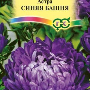 Астра Синяя башня 0,3 г, пионовидная Н12