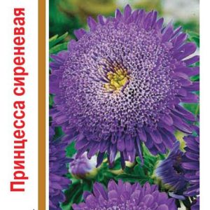 Астра Принцесса сиреневая 0,5 г, серия 1+1 Н14