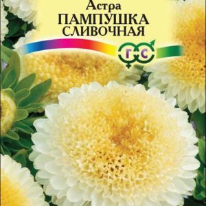 Астра Пампушка сливочная 0,3 г Н12