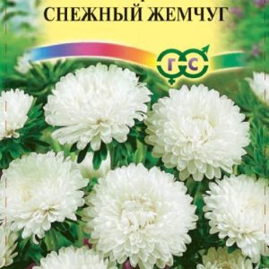 Астра Снежный жемчуг 0,3 г, карликовая белая Н10