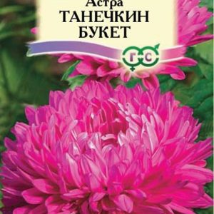 Астра Танечкин букет 0,3 г, воронежская кармин