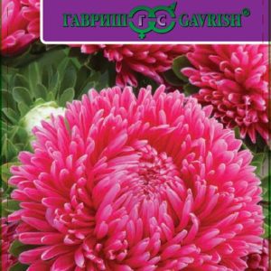 Астра Леди Корал темно-красная* 0,1 г, розовидная серия Эксклюзив Н11