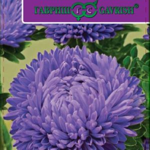 Астра Леди Корал темно-синяя* 0,1 г, розовидная серия Эксклюзив Н12