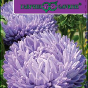 Астра Леди Корал светло-синяя* 0,1 г , розовидная серия Эксклюзив Н12